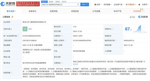 科大訊飛在黑龍江成立智研院科技公司，布局AI基礎軟件開發(fā)新藍圖